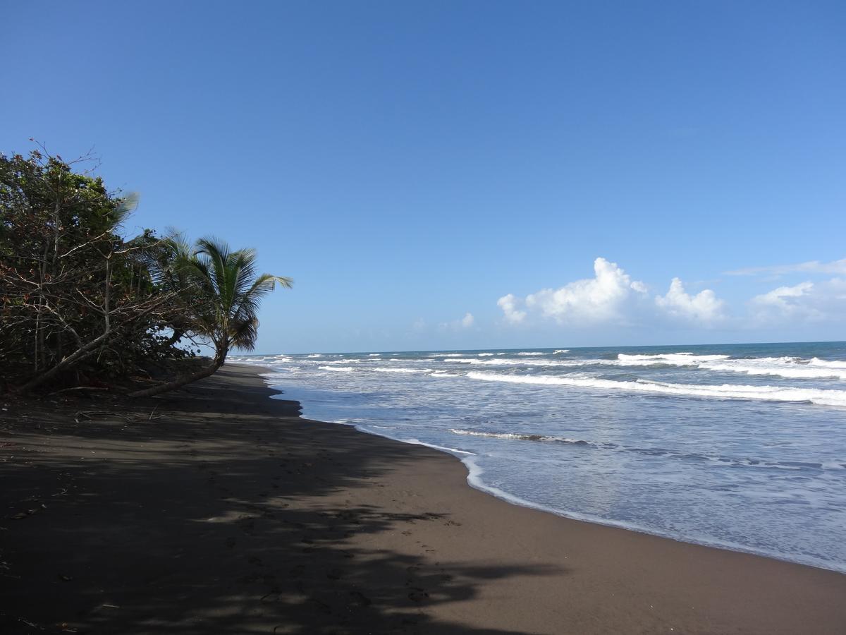 La Casona De Tortuguero Hotel Exterior photo