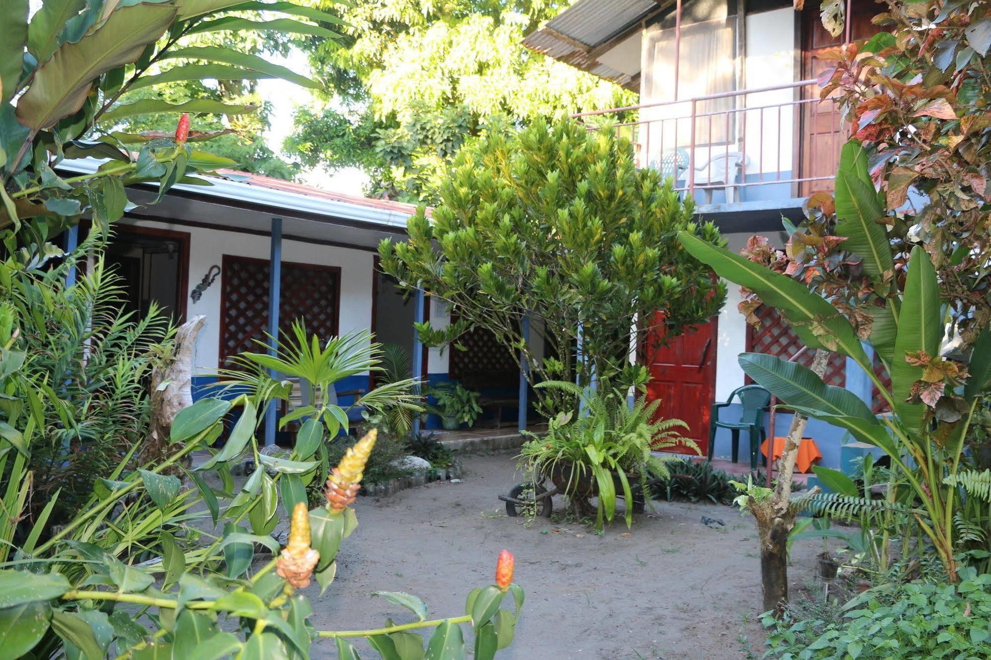 La Casona De Tortuguero Hotel Exterior photo