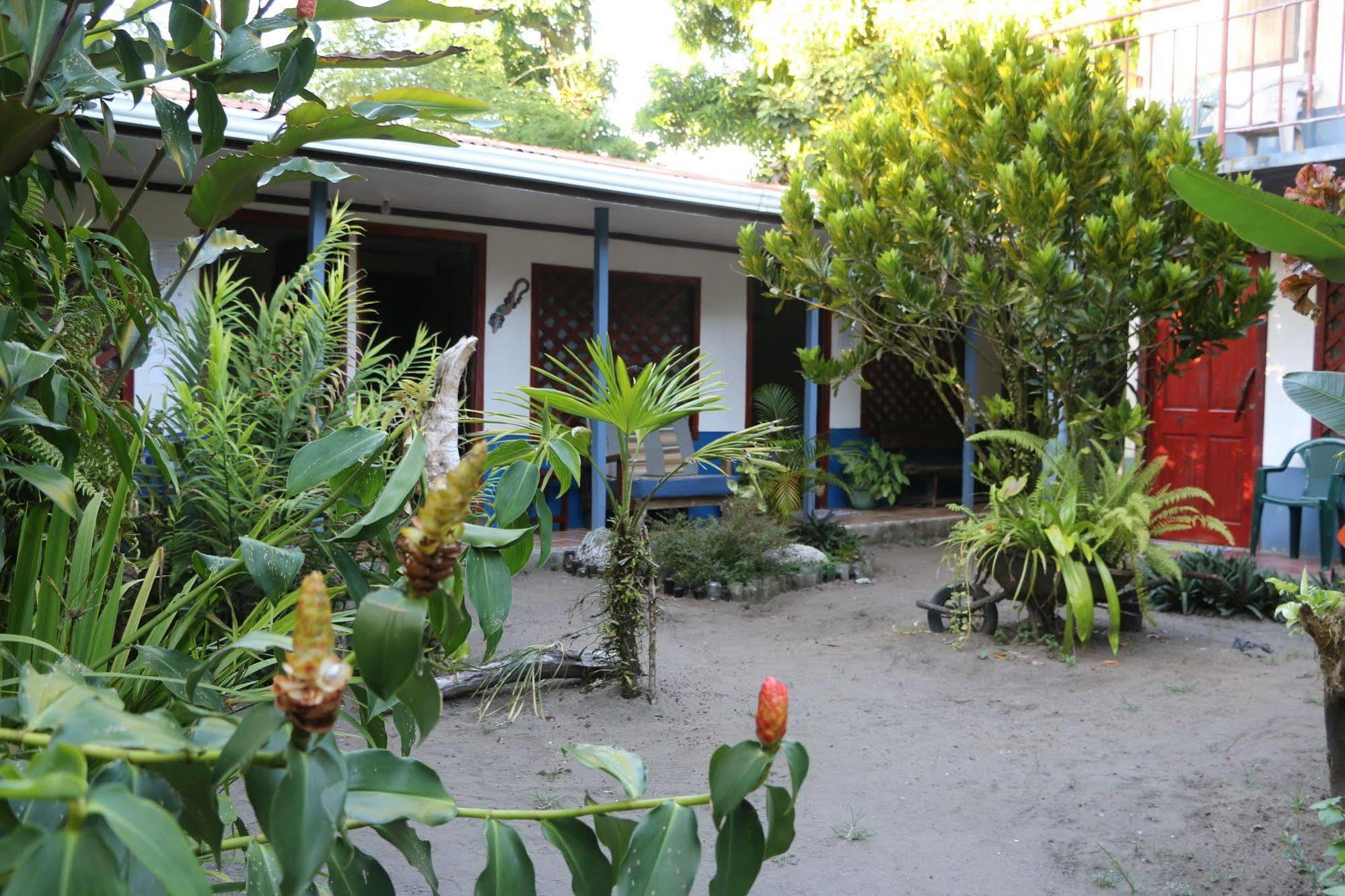 La Casona De Tortuguero Hotel Exterior photo