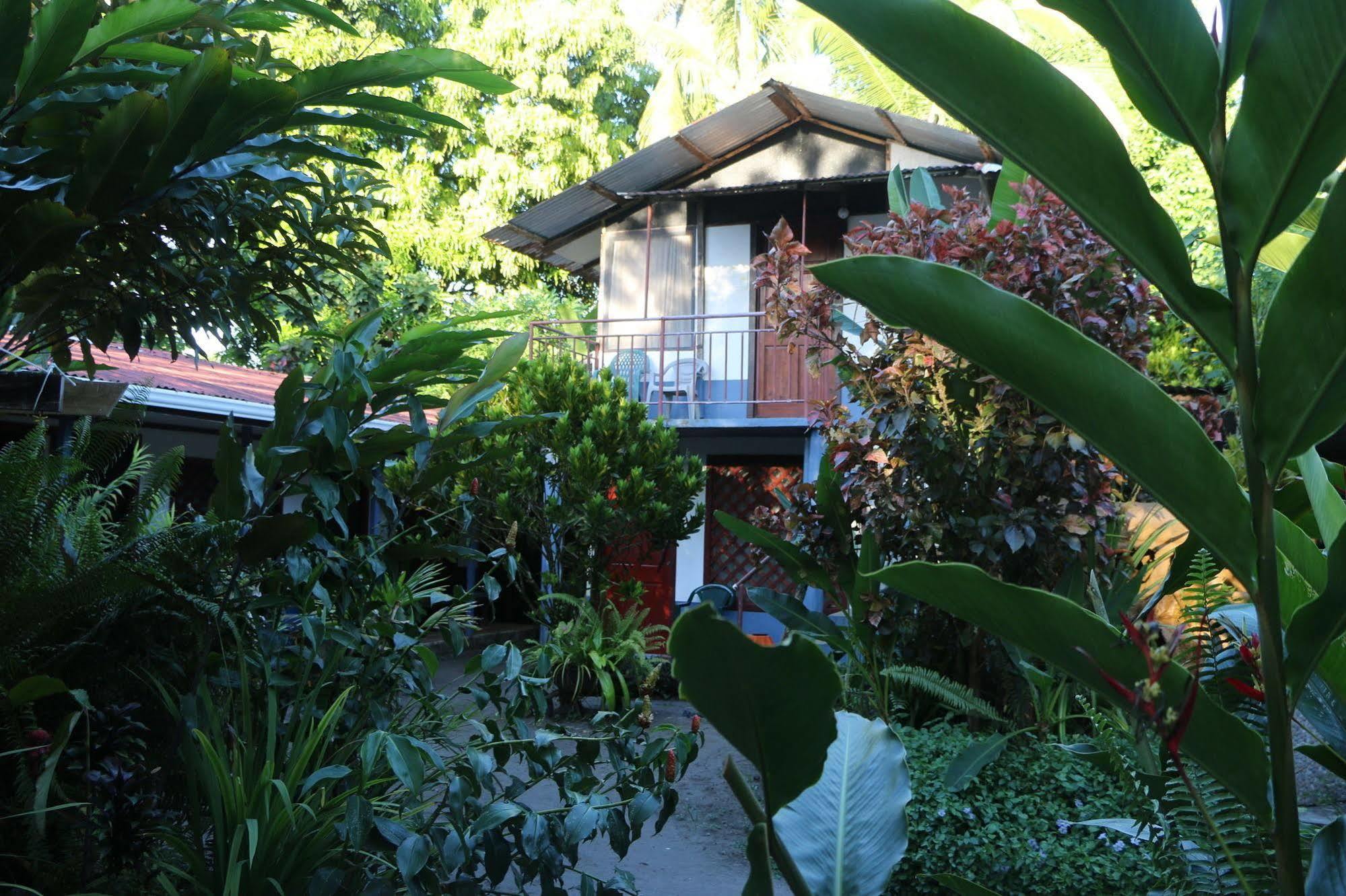 La Casona De Tortuguero Hotel Exterior photo