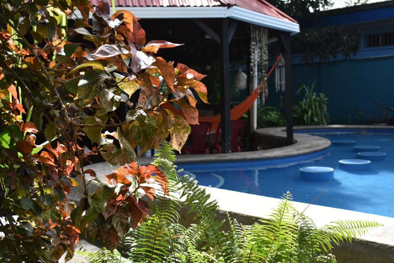 La Casona De Tortuguero Hotel Exterior photo